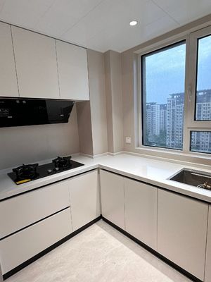 Custom Panel Lacquer High Gloss Pet Design Modern Kitchen Cabinet