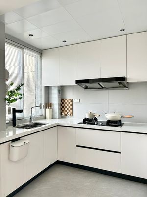 Custom Panel Lacquer High Gloss Pet Design Modern Kitchen Cabinet