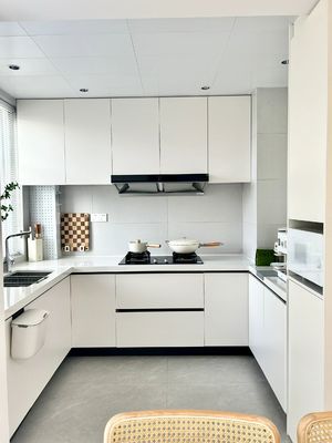 Custom Panel Lacquer High Gloss Pet Design Modern Kitchen Cabinet