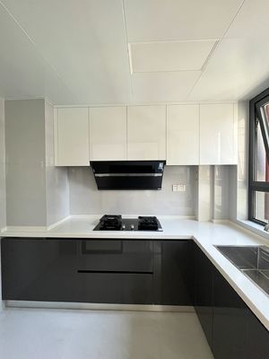 Custom Panel Lacquer High Gloss Pet Design Modern Kitchen Cabinet