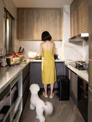 Elegant PVC Melamine Modular MDF Board Kitchen Cabinet Factory For Home