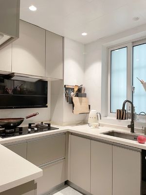 Acrylic Door Finish Contemporary Kitchen Cabinet For Stylish Home Renovations
