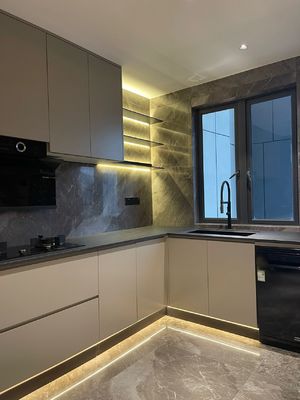 Acrylic Door Finish Contemporary Kitchen Cabinet For Stylish Home Renovations