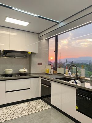 Elegant Open Modern Kitchen Cabinet Solutions For Home