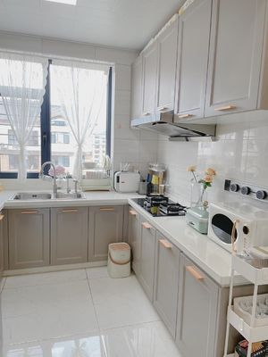 Large Dirty Proof White Modular Kitchen Cabinets  Antique Furniture Hotel