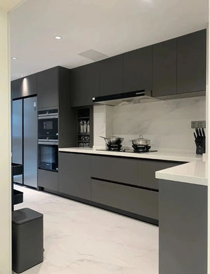 Kitchen Cabinet Custom MDF Supplier Modular Modern Wooden Furniture