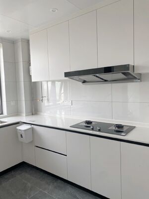PVC MDF Inside Customized Colors And Sizes Home Storage Cabinets For Hotel