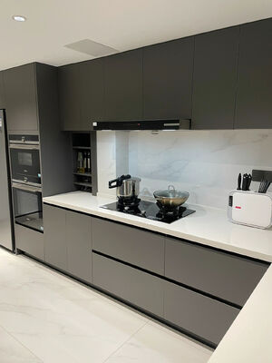 Affordable Price Grain MDF Door Panel With Dtc Hinge Wood Kitchen Cabinet