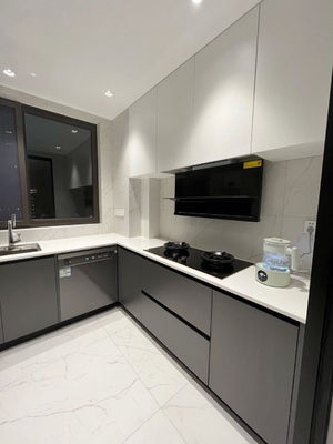 Whole House Customization Service Kitchen Cabinet Kitchen Furnishing for Villa