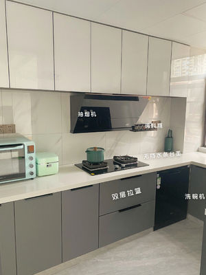 Whole House Customization Service Kitchen Cabinet Kitchen Furnishing for Villa