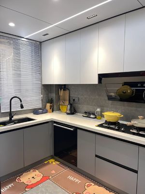 Modern Plywood Cupboard Completed Cabinet Set With Islands Custom Kitchen