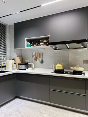 Modern Plywood Cupboard Completed Cabinet Set With Islands Custom Kitchen