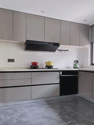 Modern Built In Cabinets Unit Whole House Customization Modern Kitchen Cabinet