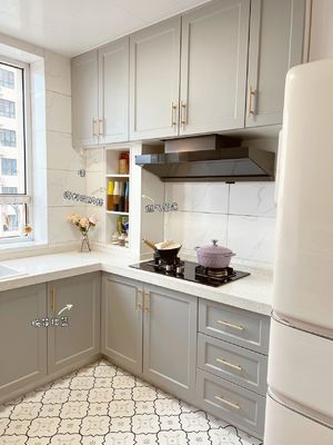 Modern Built In Cabinets Unit Whole House Customization Modern Kitchen Cabinet