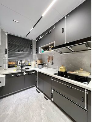 Modern Built In Cabinets Unit Whole House Customization Modern Kitchen Cabinet