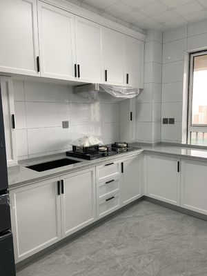 Modern Built In Cabinets Unit Whole House Customization Modern Kitchen Cabinet