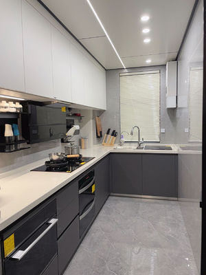 Modern Pantry Storage Custom Designs Durable Furniture Kitchen Cabinet