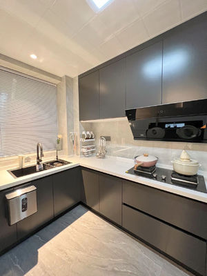 Modern Pantry Storage Custom Designs Durable Furniture Kitchen Cabinet