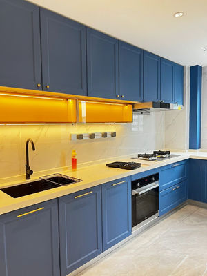 Modern Designs Kitchen Cabinets  For Apartment with Soft Closing Sliders