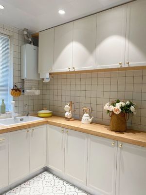 Modern Designs Kitchen Cabinets  For Apartment with Soft Closing Sliders