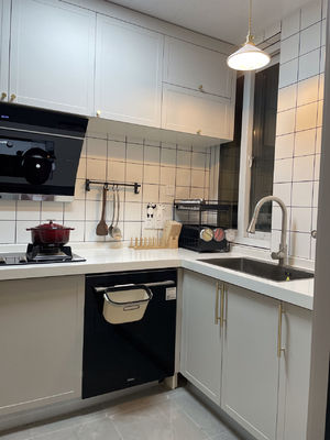 Modern Designs Kitchen Cabinets  For Apartment with Soft Closing Sliders