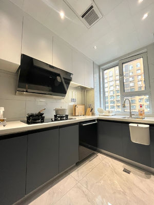 Modern Designs Kitchen Cabinets  For Apartment with Soft Closing Sliders