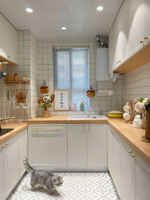 Cupboard European Style Turkey Portable Kitchen Cabinet Furniture