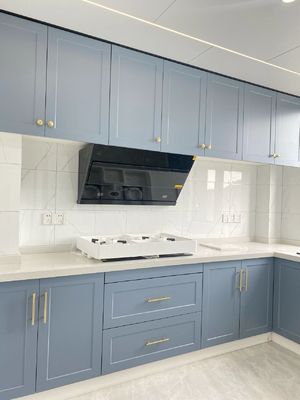 Light Luxury Matte Paint MDF Wooden Kitchen Morden Home Cabinet Furniture