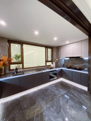 Kitchen Cabinet Door Shutter Panels Widens Steel Indoor House Kitchen Cabinet