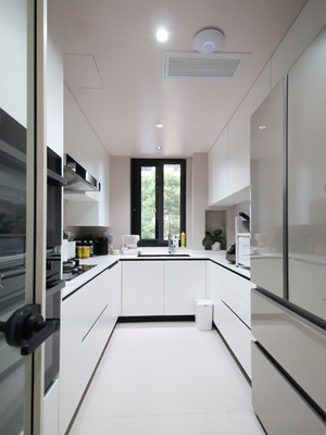 Kitchen Cabinet Door Shutter Panels Widens Steel Indoor House Kitchen Cabinet