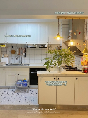 Kitchen Pantry Cupboard Lacquer MDF Kitchen Cabinet With Drawer Slide