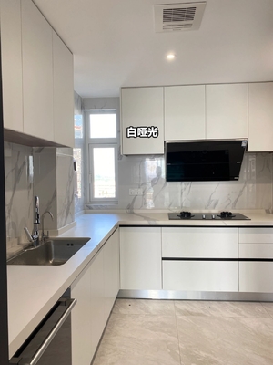 Home furniture Modern Kitchen Cabinet With Particle Board Carcase Material