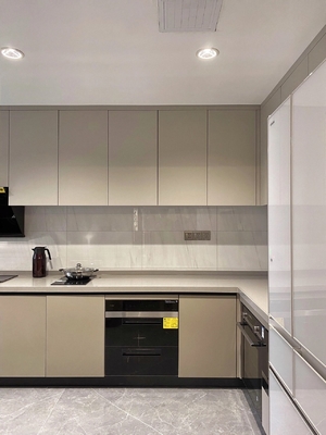 Contemporary Design Modern Kitchen Cabinet with Particle Board Carcase and Plywood Door