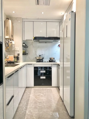 Contemporary Modern Style Two Tone Slab Panel Dark Kitchen Cabinet