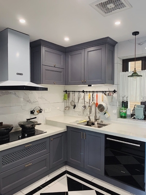 Contemporary Modern Style Two Tone Slab Panel Dark Kitchen Cabinet