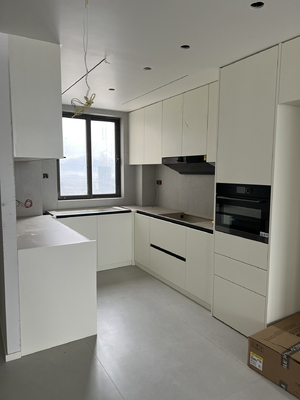 Luxury Modular U-Shape Kitchen Cabinet With Adjustable LED Color Temperatures