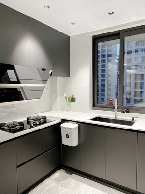 Anti-Scratch Lacquered Hygienic Particle Board Kitchen Cabinet