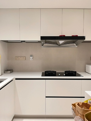 Anti-Scratch Lacquered Hygienic Particle Board Kitchen Cabinet
