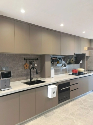 Matte Anti-Scratch Lacquered Hygienic Kitchen Cabinet With Gallery Lighting