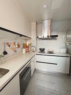 Matte Anti-Scratch Lacquered Hygienic Kitchen Cabinet With Gallery Lighting
