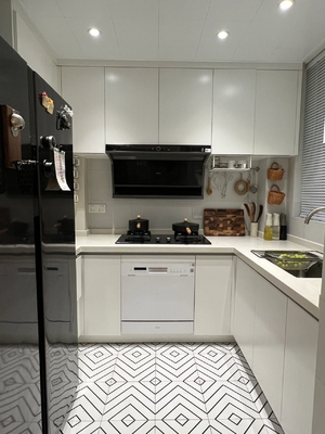 Matte Anti-Scratch Lacquered Hygienic Kitchen Cabinet With Gallery Lighting