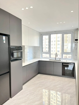 Wholesale Custom Panel Lacquer High Gloss Pet Design Modern Kitchen Cabinet
