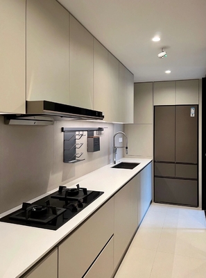 Wholesale Custom Panel Lacquer High Gloss Pet Design Modern Kitchen Cabinet
