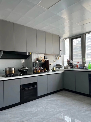 Wholesale Custom Panel Lacquer High Gloss Pet Design Modern Kitchen Cabinet