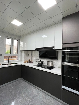 Wholesale Custom Panel Lacquer High Gloss Pet Design Modern Kitchen Cabinet