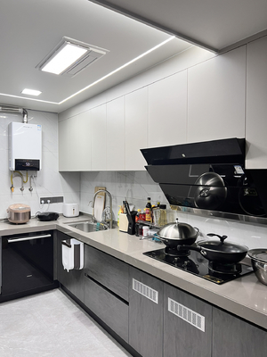 Wholesale Custom Panel Lacquer High Gloss Pet Design Modern Kitchen Cabinet