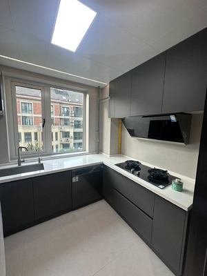 Modular Kitchen Cabinet Design With Rta Lacquer Finish For Residence