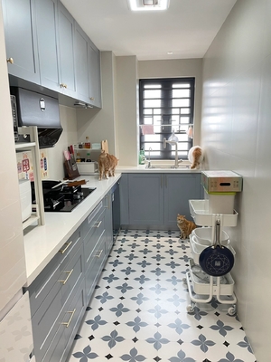 Modular Kitchen Cabinet Design With Rta Lacquer Finish For Residence