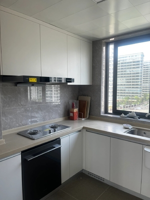 Standard Modular Style Home Furniture  Modern Shaker Kitchen Cabinet