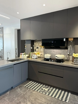 Lacquer Cupboard Customized Own Design Modern Kitchen Plywood Wooden Cabinet